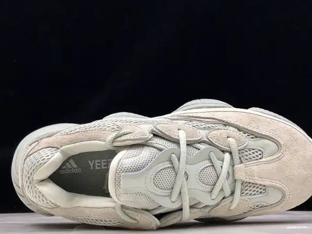 EE7287 Yeezy Adidas 500 Salt 0315