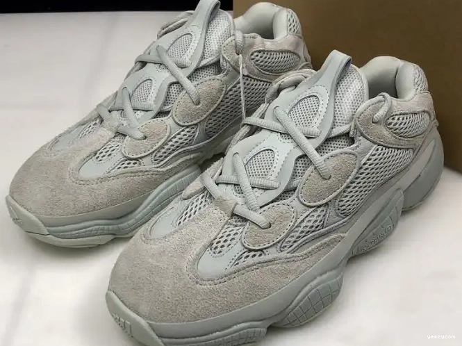 EE7287 Yeezy Adidas 500 Salt 0315