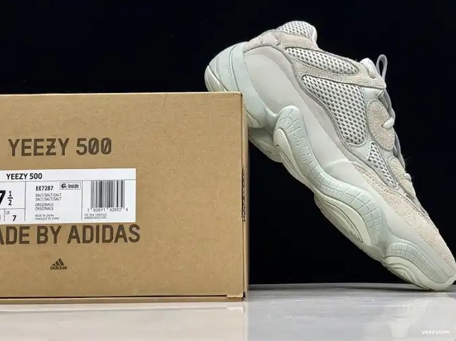 EE7287 Yeezy Adidas 500 Salt 0315